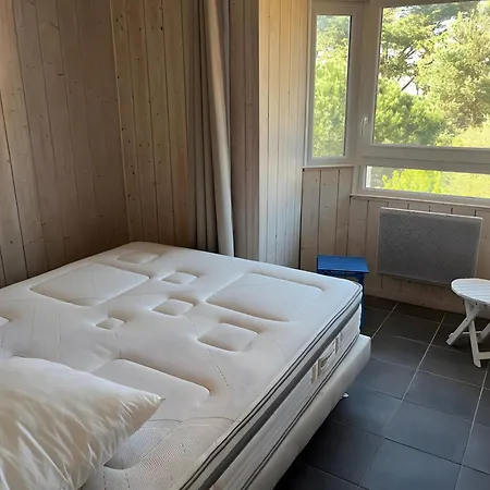 App Cap Ferret Piscine Ref 137 *